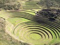 74570836