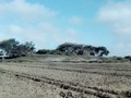 530568641