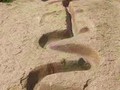 75490347931