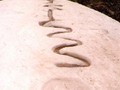 97680947451
