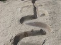 76349934873