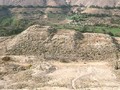 75470000-1191