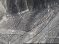 8776700504