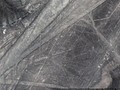 45773200112