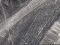 788070555