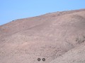 885768-890560851