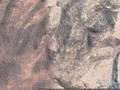 85685068-5689511