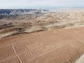 47854695077-07