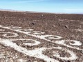 4904684361