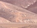 32403064-395654