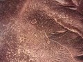 54634-6349634