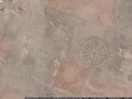 3130344-7842934