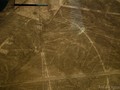 lineas-de-nazca-el-condor