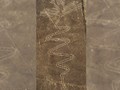 alcatraz-heron-bird-nazca-line