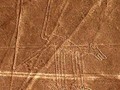 9608056756