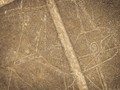 8992023548634