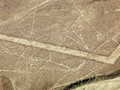 89998487455
