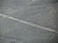 4352305468342