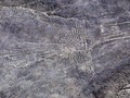 35049654754