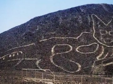 Геоглиф Кот — Наска