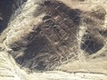 556904-6956544