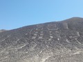 166-390-2842