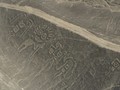 8595012-23934964