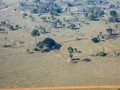 980567945061