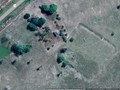 7757904-69434