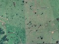 7895460346849921