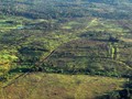 1119-248930532-3592