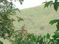 geoglifo