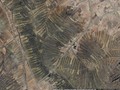 9856089658