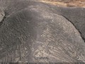 geoforms29oblique