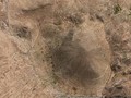 psocircles5858