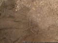 psocircles5856