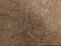 psocircles5857