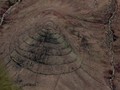 cerro5