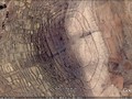 ringedimage44