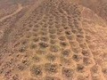 4390648332