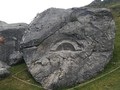 800000-3683411