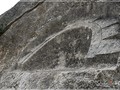 9805689487