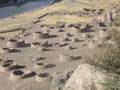 6986049704974
