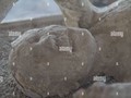 5470450036934
