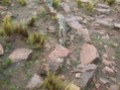 89567412007