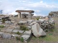 large_tantarica