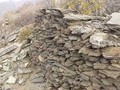 879567489564