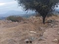 78459768947373