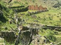 INCA-LLAJTA-010