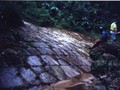 71991081961